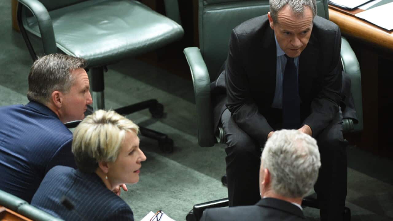 Leader of the Opposition Bill Shorten