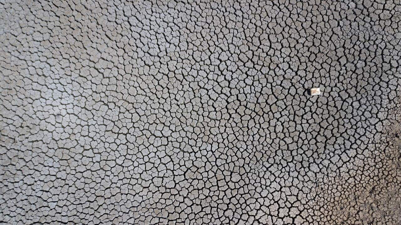 A dried up dam at Cottonvale apple orchard in Queensland in 2019