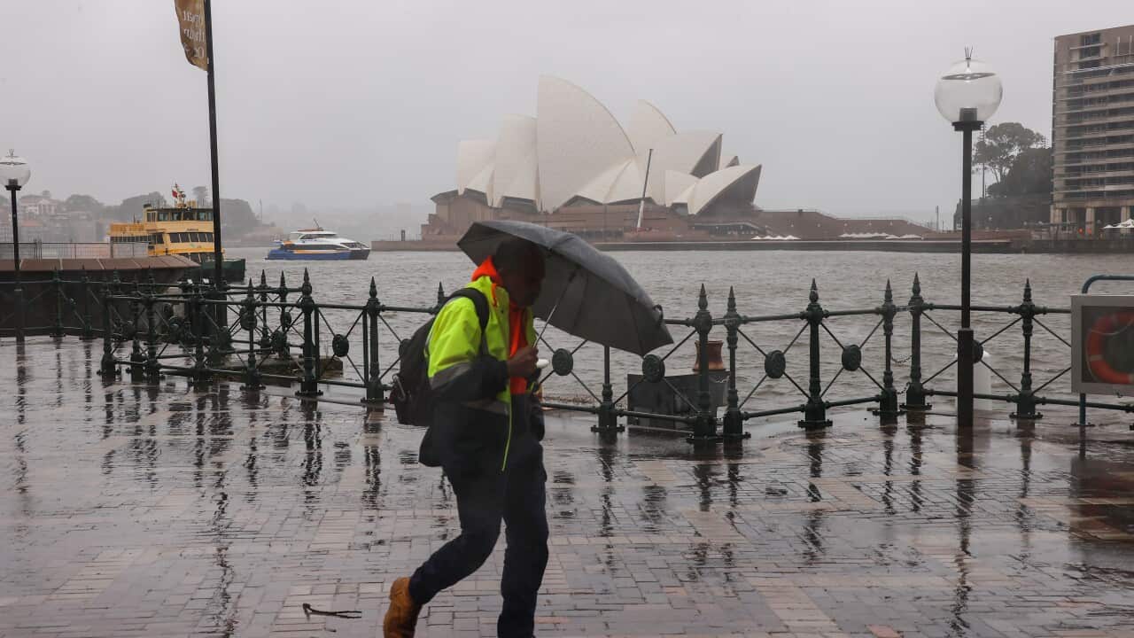 A man wearing a hi-vis jacket, walks in the rain, holding an umbrella, with the Sydney Opera House behind him.