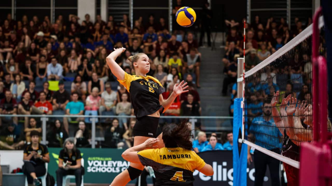 Volleyball Super League.png