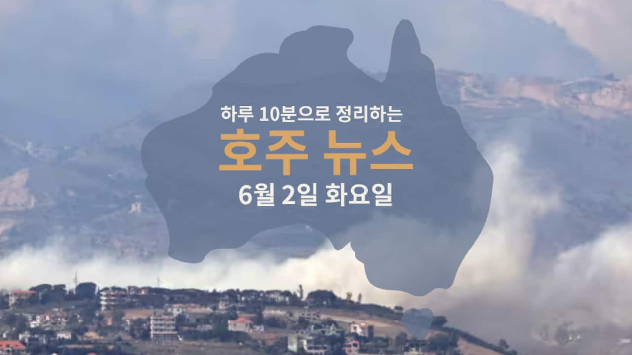Daily News (4).png