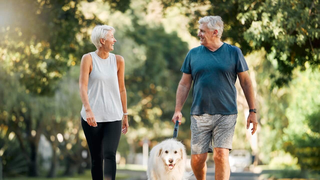 Retirement, fitness and walking with dog and couple in neighborhood park for relax, health and sports workout.