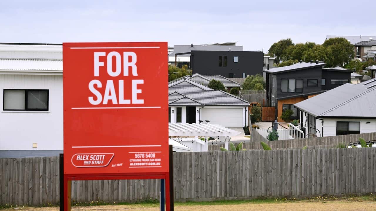 A red "For Sale" sign stands in the foreground of a suburban neighbourhood, with modern houses, fenced backyards and an overcast sky in the background.