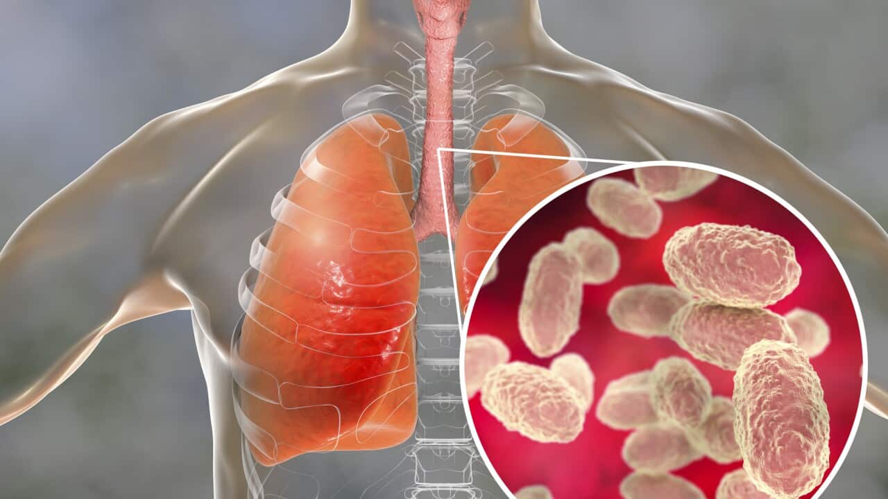 Whooping cough, conceptual illustration