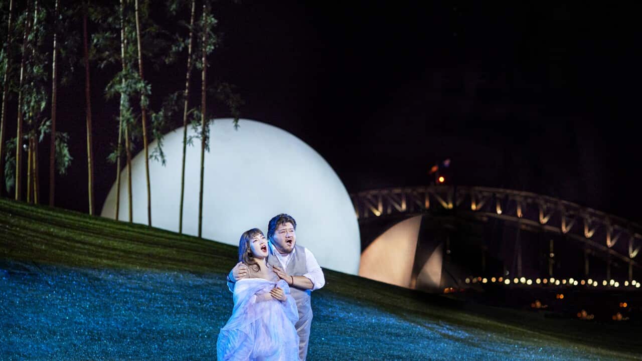 HOSH Madama Butterfly