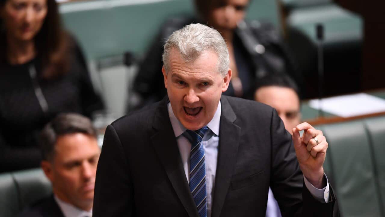 The manager of the Opposition Tony Burke delivers a speech on citizenship in the House of Representatives at Parliament House in Canberra, Monday, August 14, 2017. (AAP Image/Lukas Coch) NO ARCHIVING
