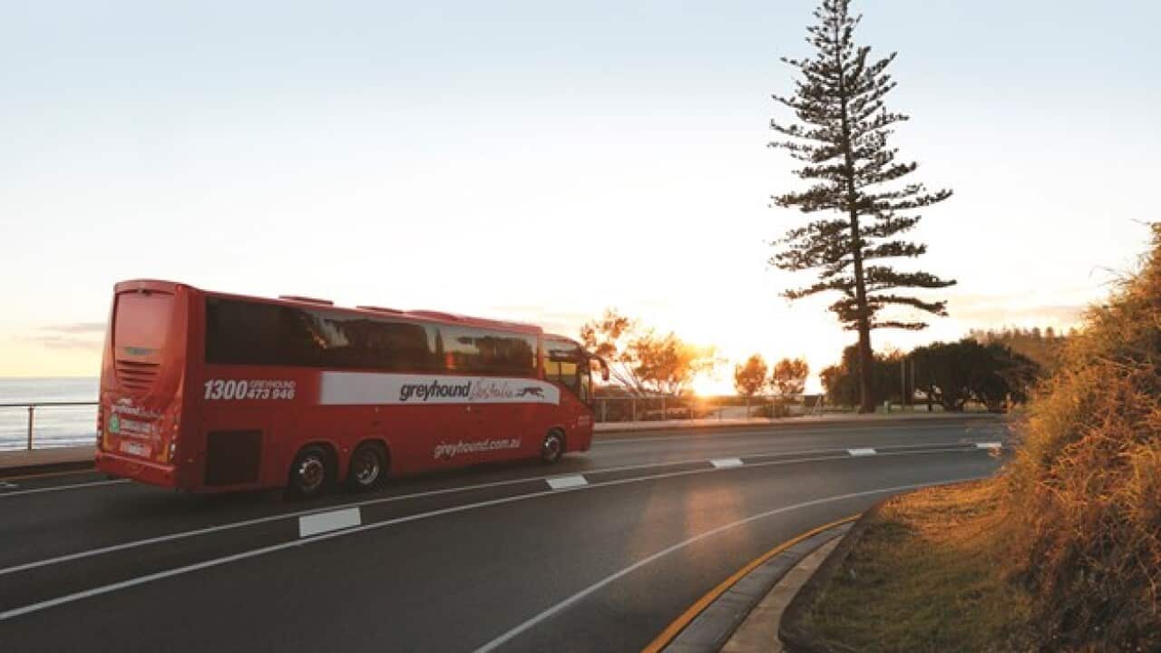 Greyhound Australia has had to stand down 240 staff members since the coronavirus pandemic hit.