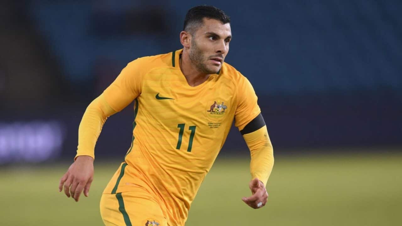 Andrew Nabbout