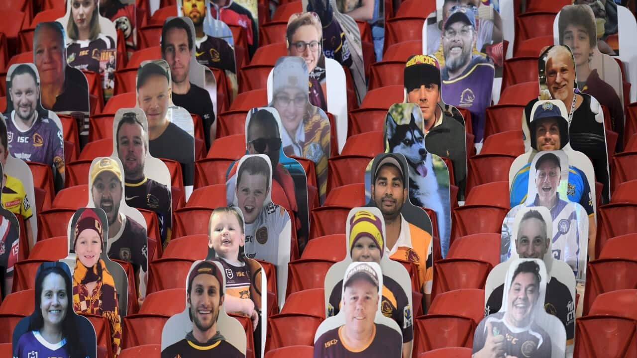 Cardboard cut-outs of NRL fans are seen at an empty Suncorp Stadium in Brisbane