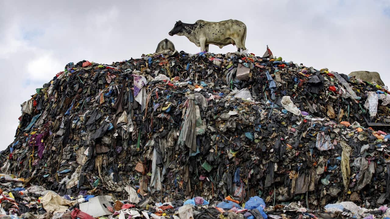 AP Top Photos of the Month November 2024