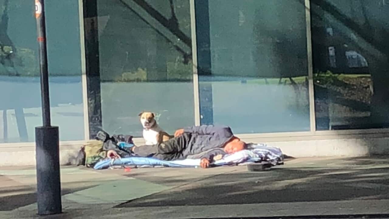 Image for read more article ''