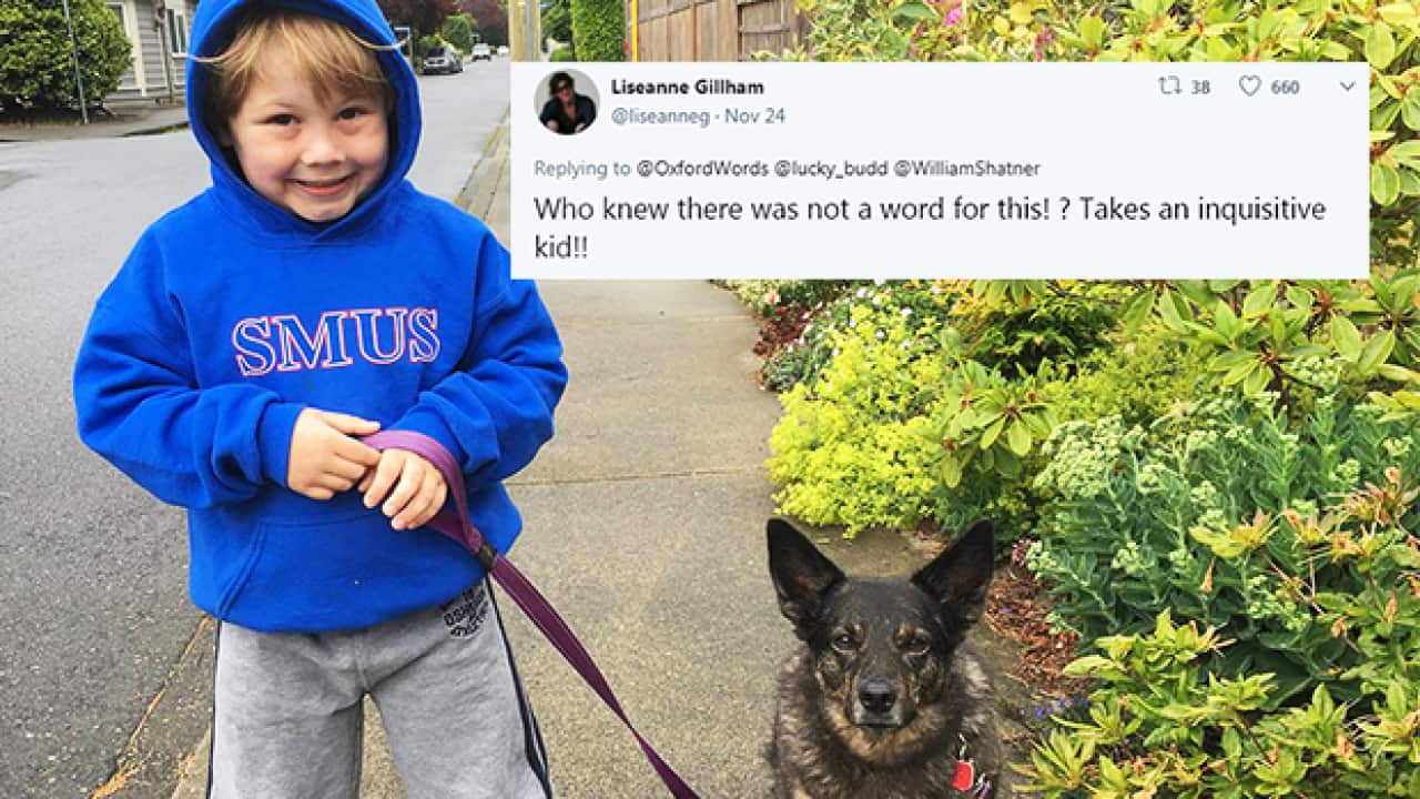 Levi Budd is only 6 years old, but has already created his first word: 'levidrome'.