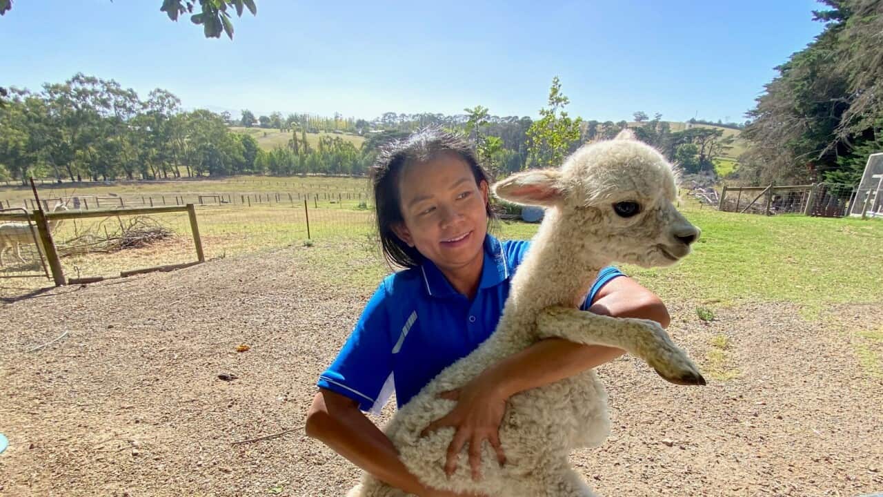 Image for read more article ''