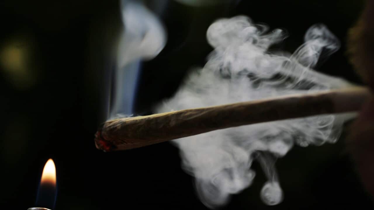 Amsterdam's cannabis cafes to remain open