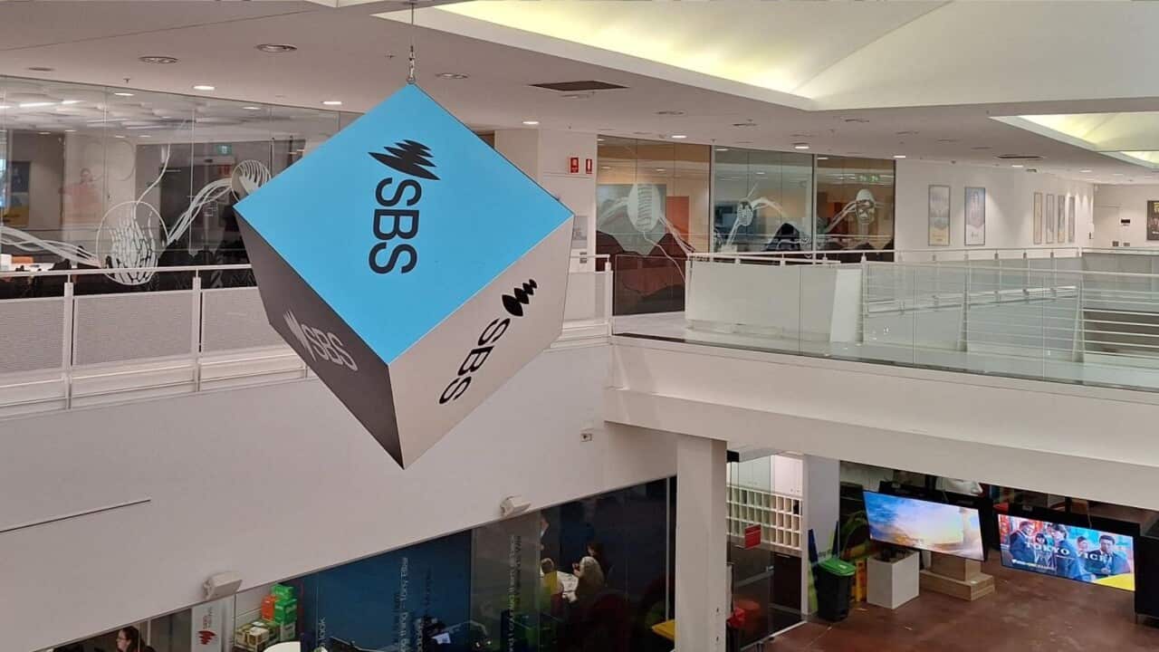 Inside SBS's Artarmon HQ in Sydney (SBS).jpg