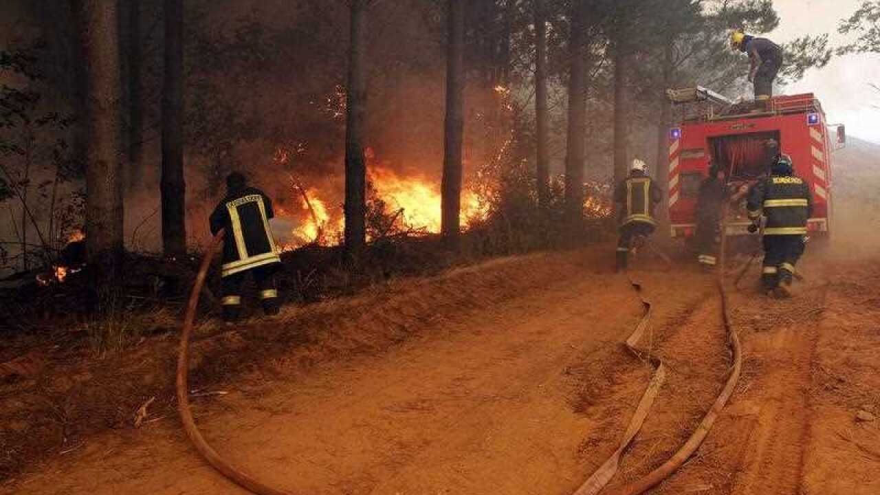 Firemen work to control and extinguish a forest fire in Cauquenes, Bio Bio Region, Chile