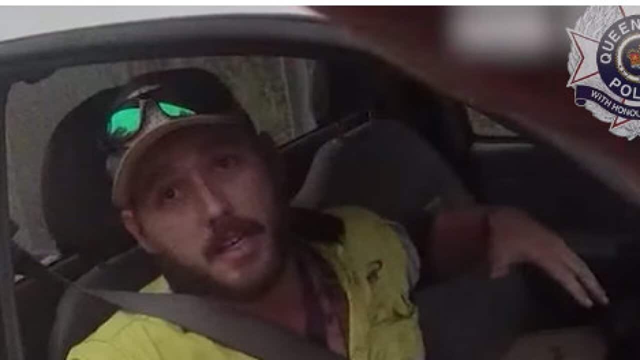 driver in vehicle - snake killed