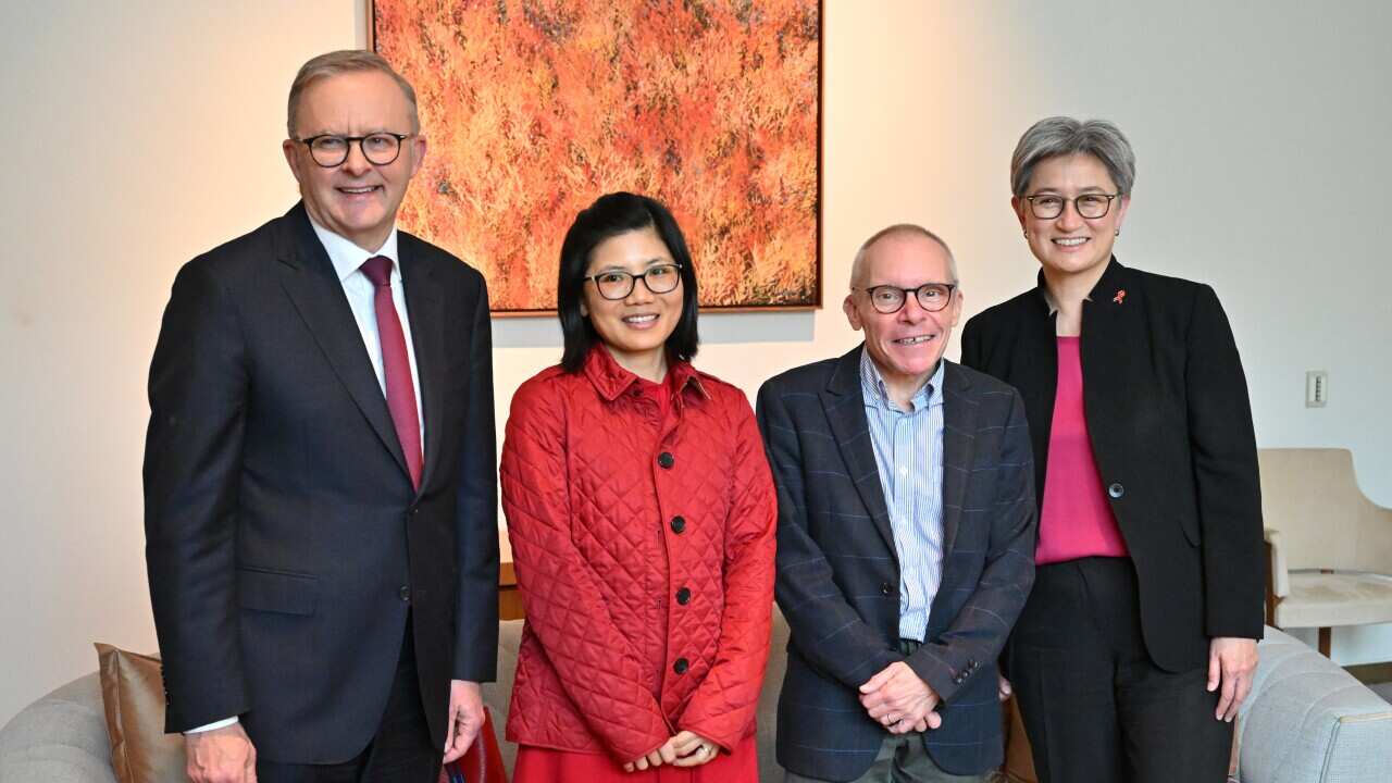 ANTHONY ALBANESE SEAN TURNELL MEETING