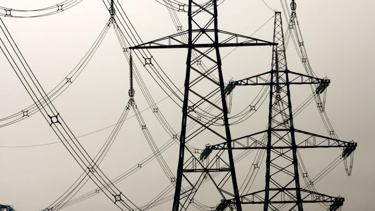 總理艾巴尼斯(Anthony Albanese )表示,政府將考慮所有可行的選擇來控制天然氣價格的上漲