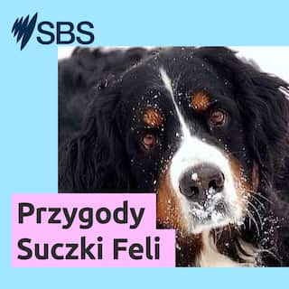 SBS-Podcasts_Fela_the_dog_Final_3000x3000px_LTR.jpg