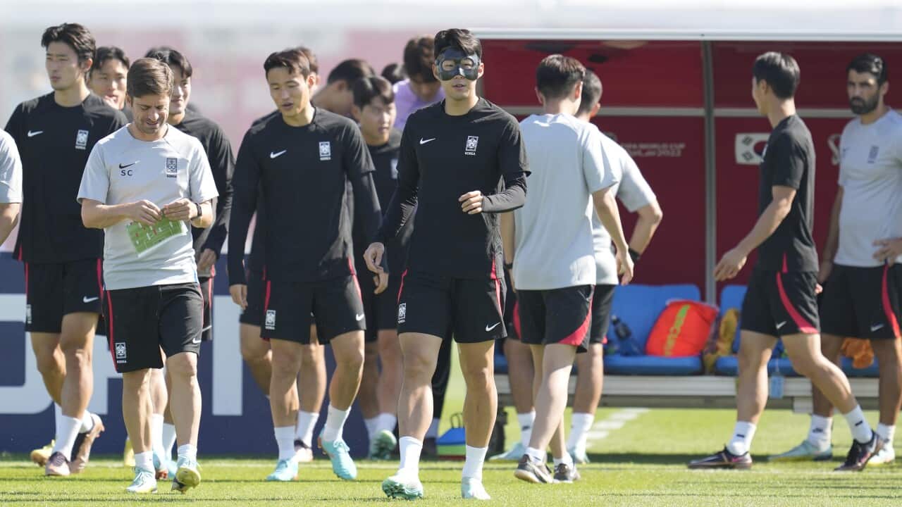 Image for read more article 'READ MORE'