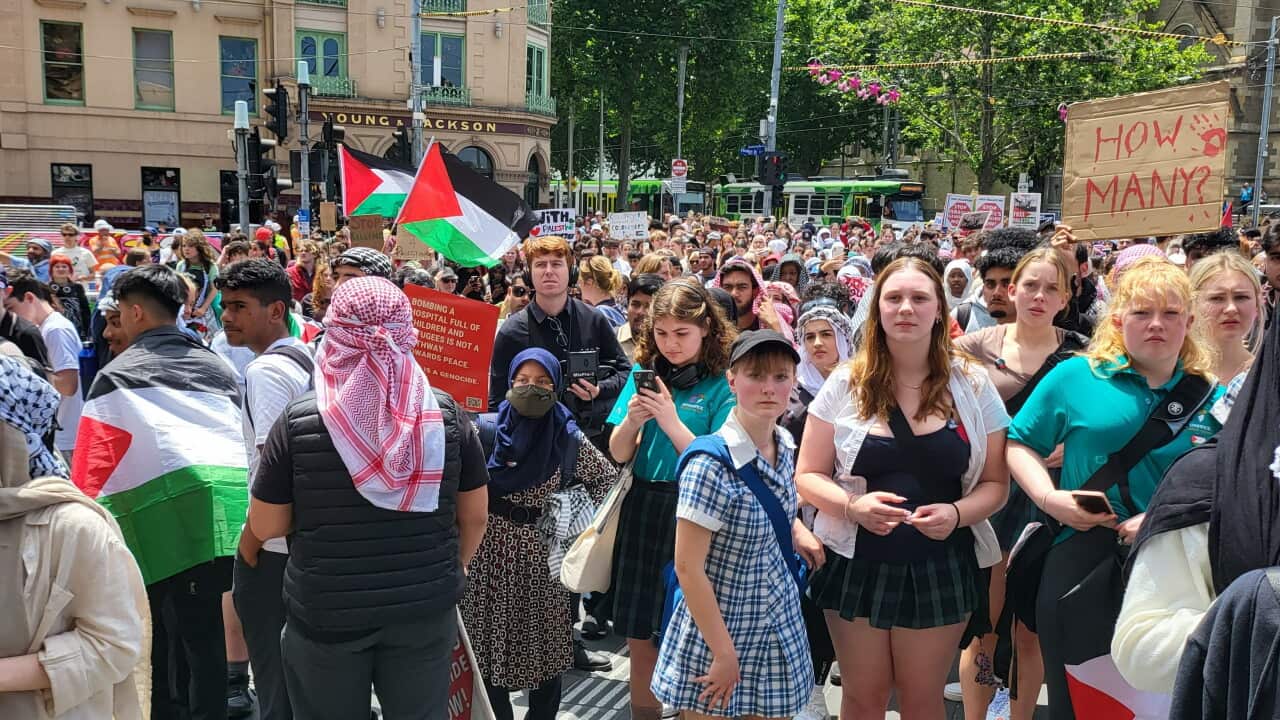 students for Gaza.jpg