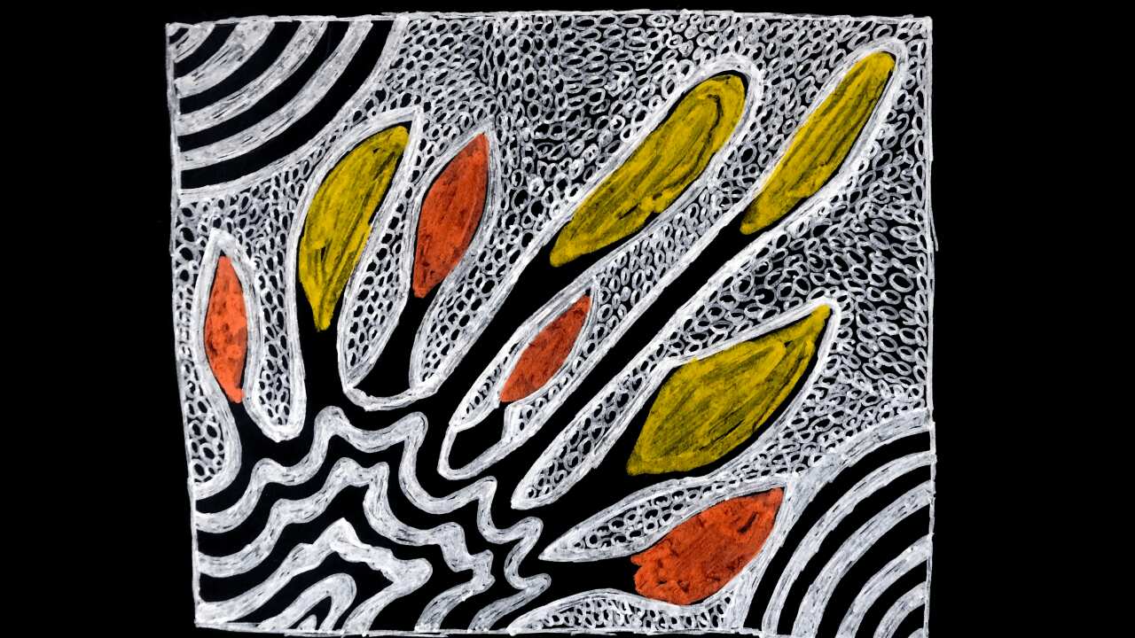 Yalinguth App an augmented reality experience