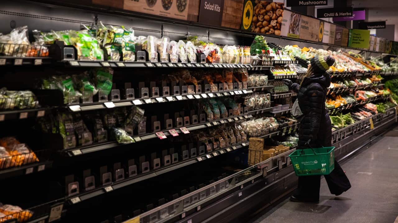 A person is shopping for fresh produce at a supermarket