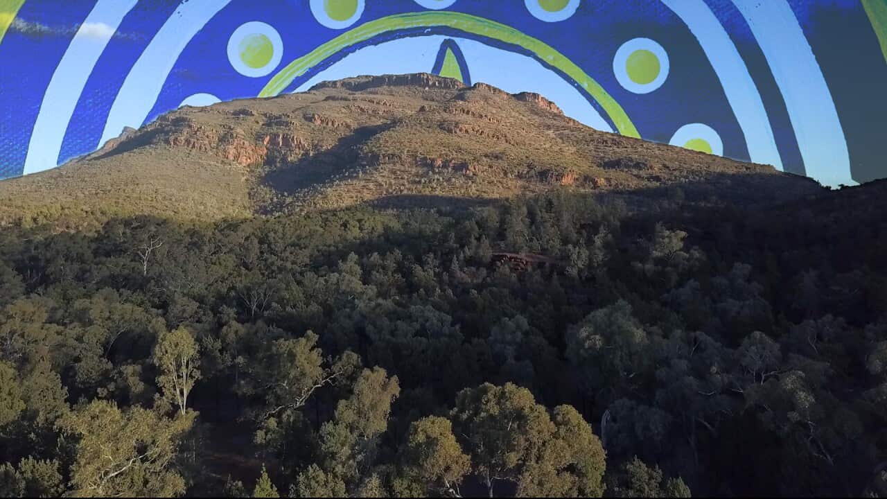 Wilpena Pound Resort in the rugged Ikara-Flinders Ranges is leading the way in Indigenous tourism. 