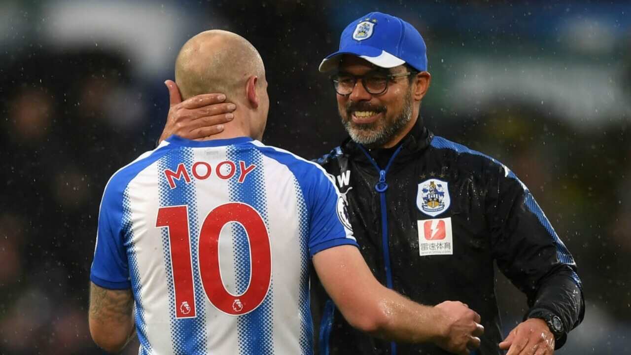 Mooy and Wagner