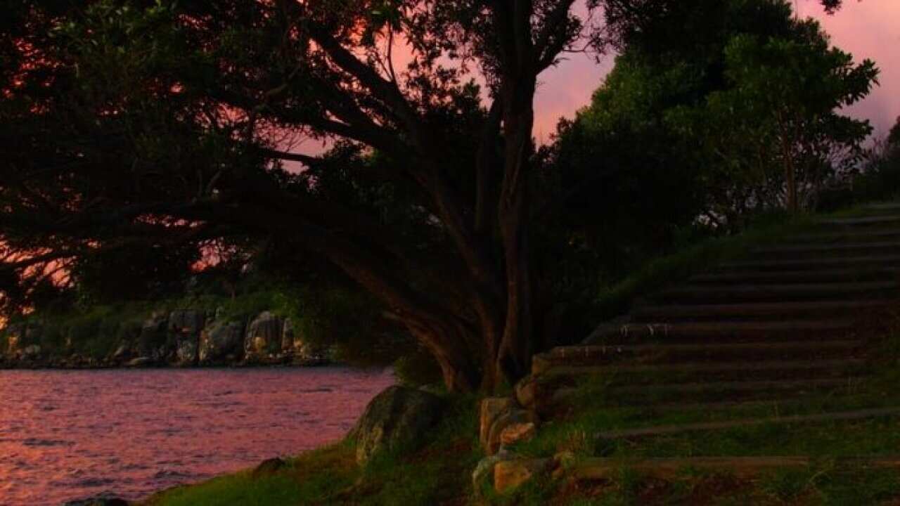 Sydney Sunset Beach