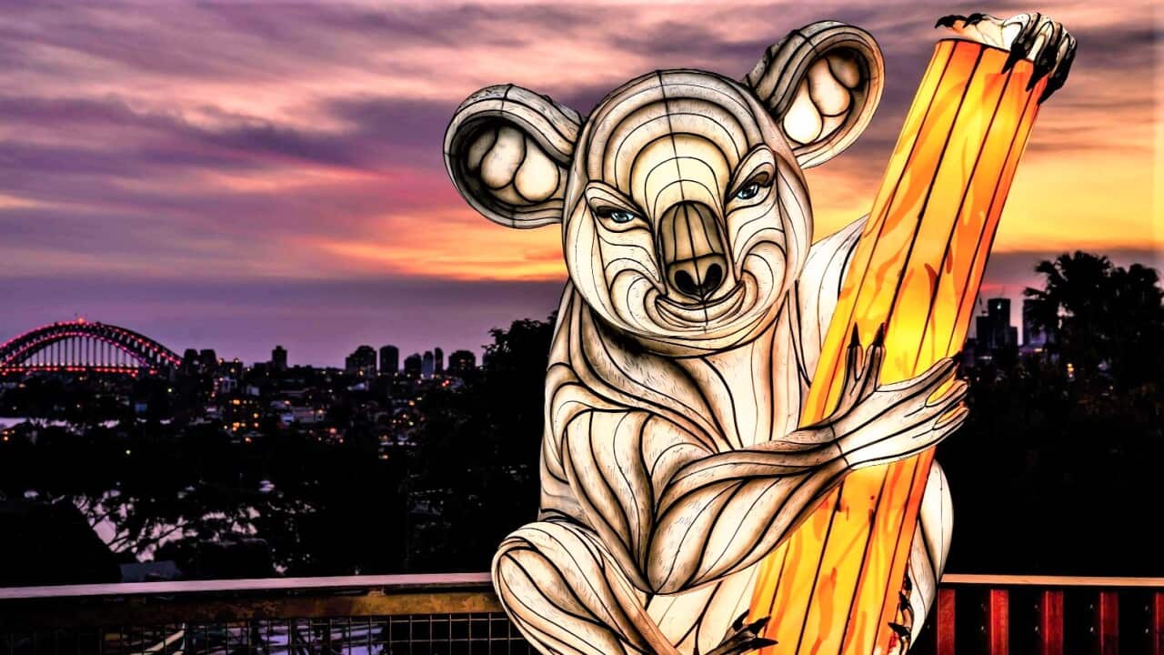 Image for read more article 'ΔΕΙΤΕ ΑΚΟΜΗ'