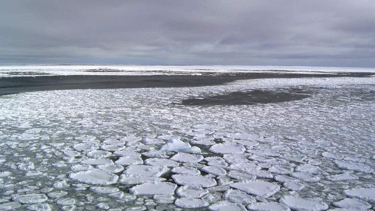 Floating ice levels in the ocean surrounding Antarctica have suddenly plunged, baffling scientists. (AAP)