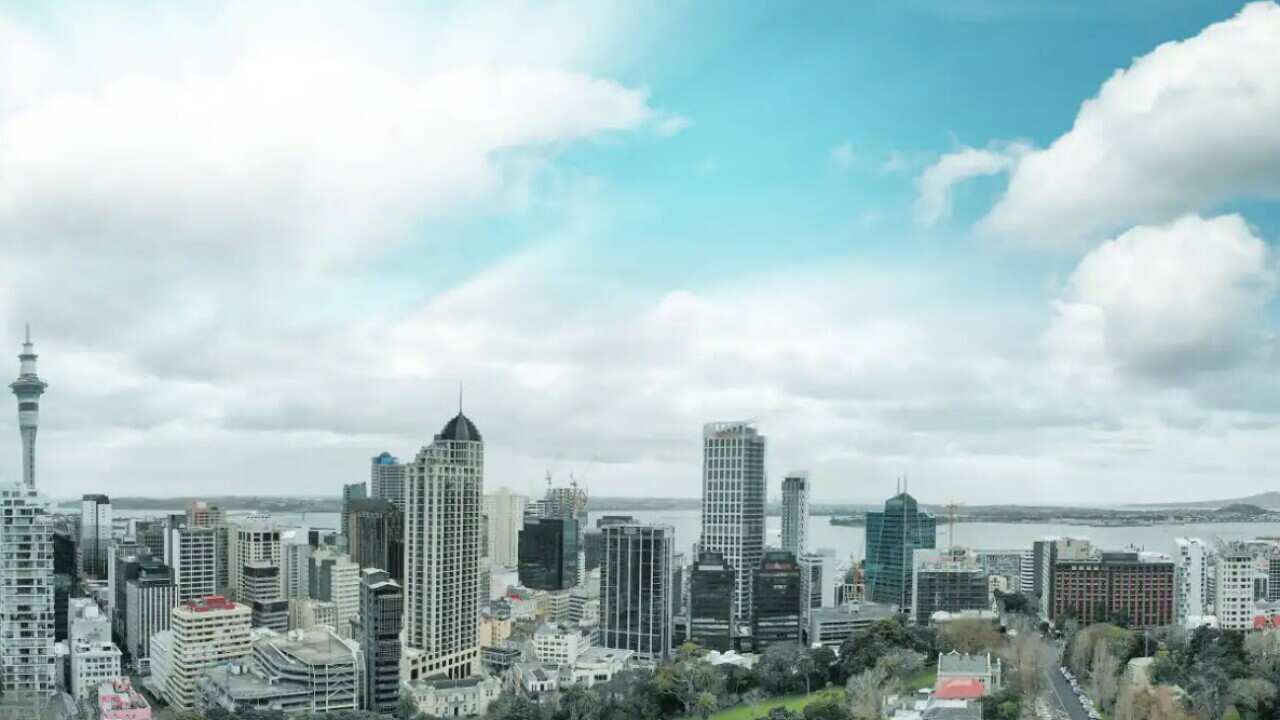 2022-11-23_10-38-40.jpg