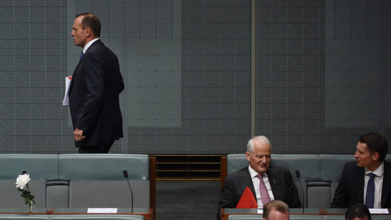 Former prime minister Tony Abbott arrives for Question Time