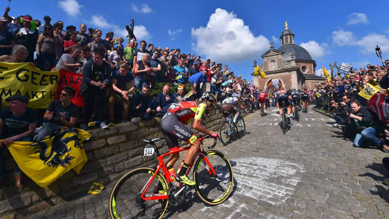 Tour of Flanders