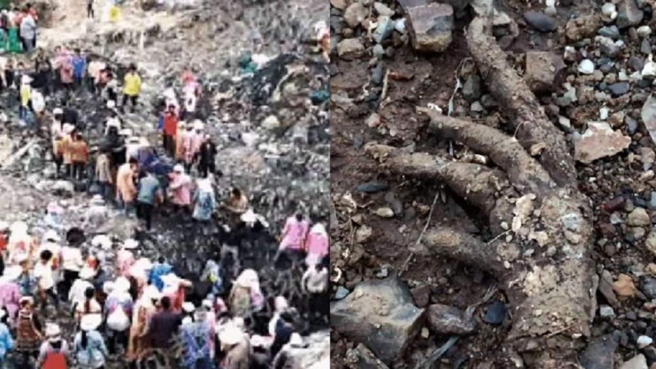Villagers collect the meat (L) and a stray chicken foot (right).
