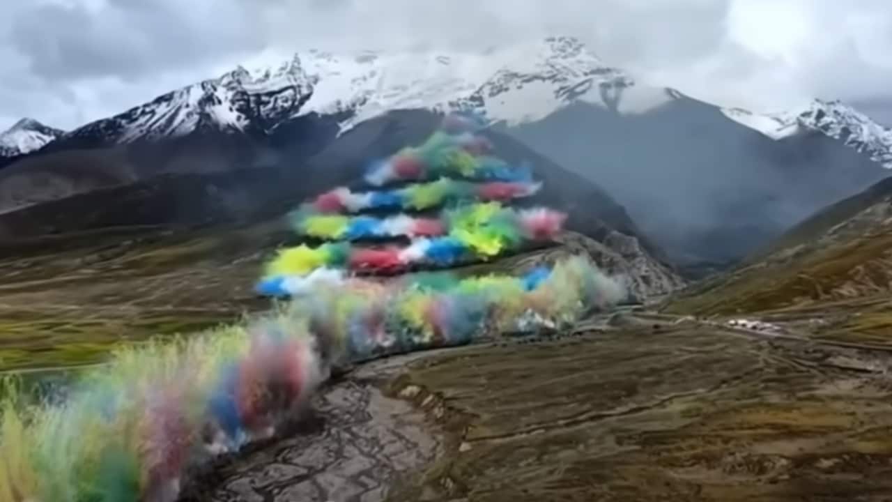 Image for read more article ''