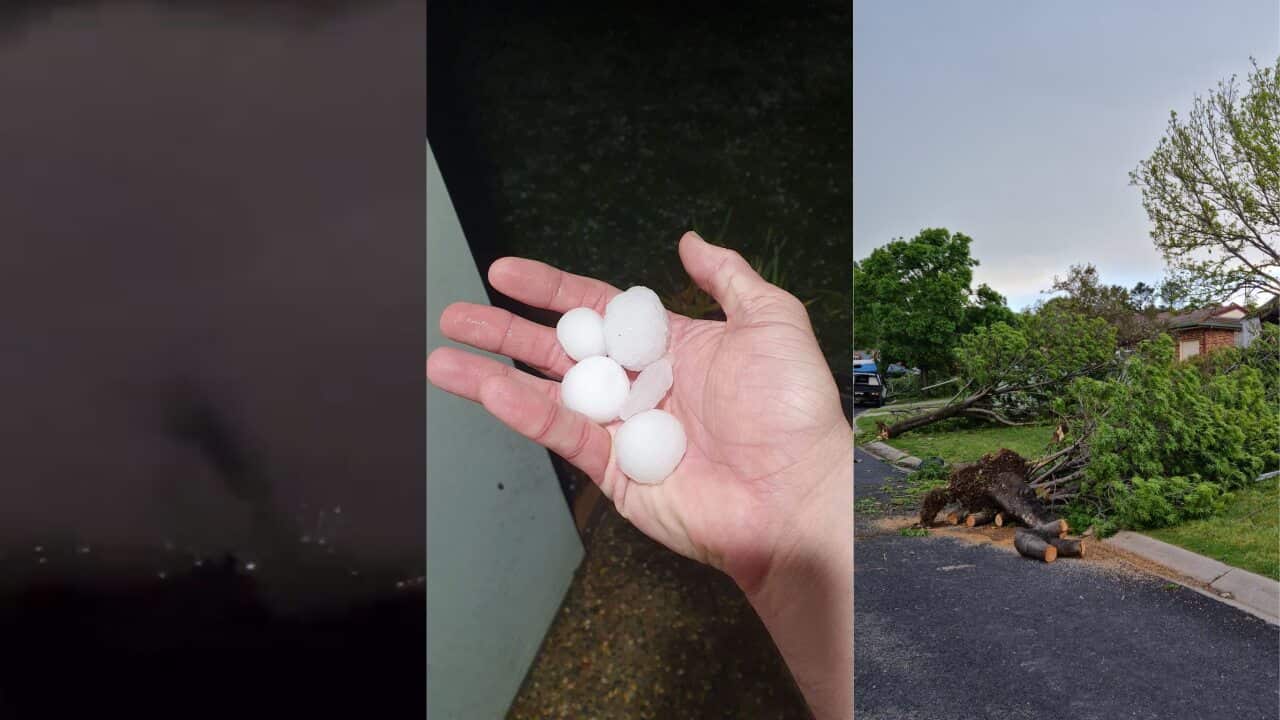 Tornadoes and heavy hail caused major damage across the regional town of Armidale.