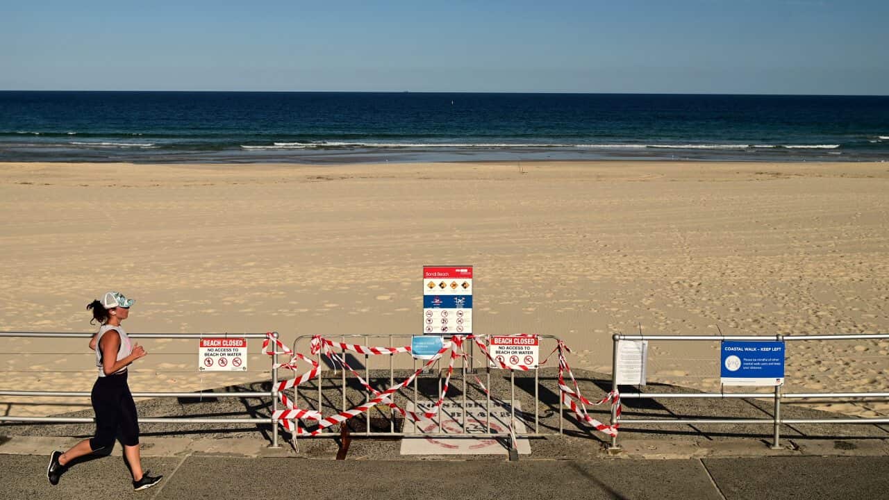 Sydney's iconic Bondi Beach will partially open to swimmers and surfers next week as more beaches in NSW begin easing COVID-19 restrictions.