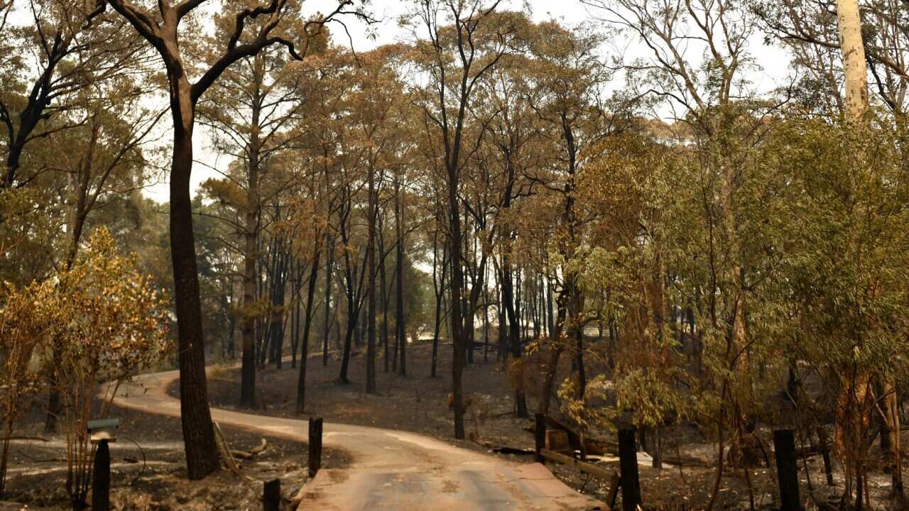 climate change, air quality, fires,