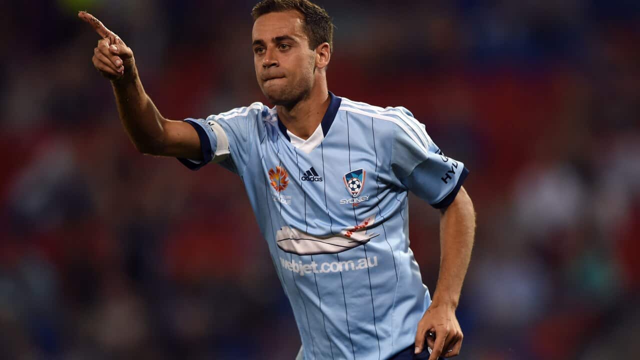 Brosque