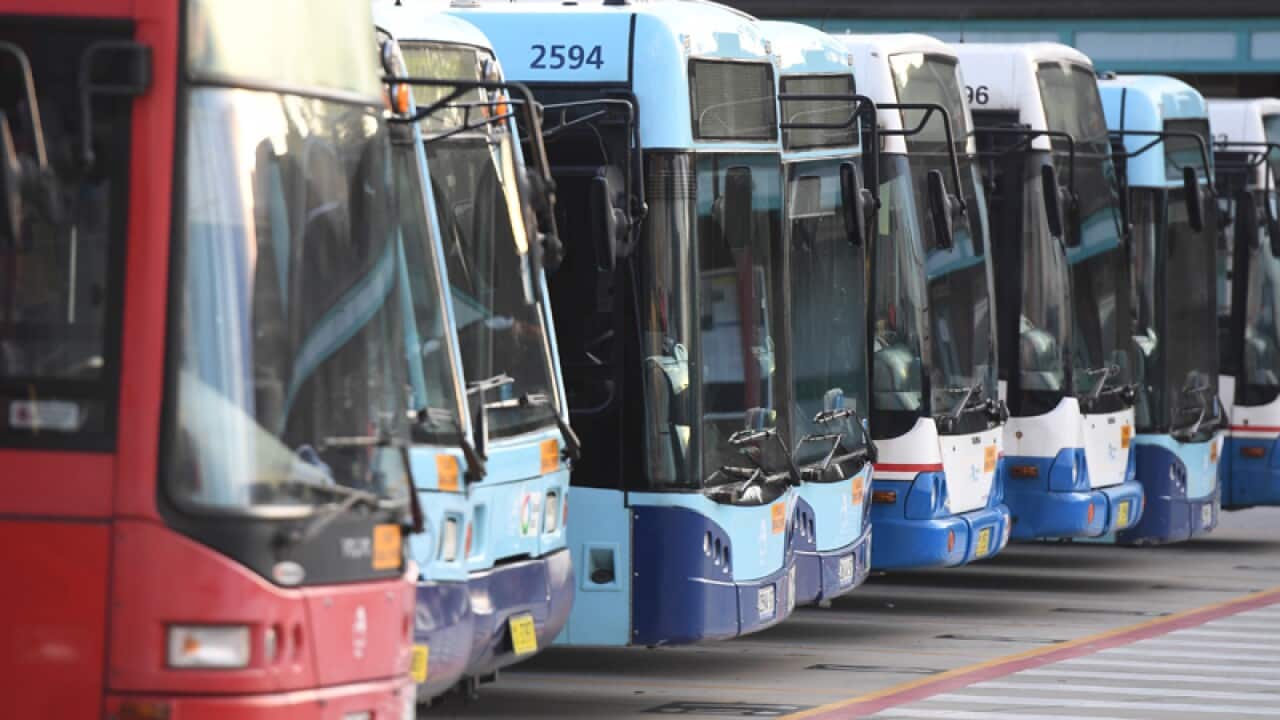 Buses fill NSW Transport's Tempe bus depot