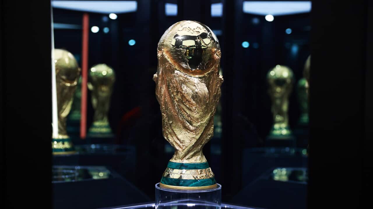 世界杯冠军奖杯与其他奖杯共同展出。