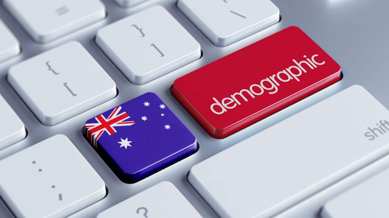 Demographic Concept