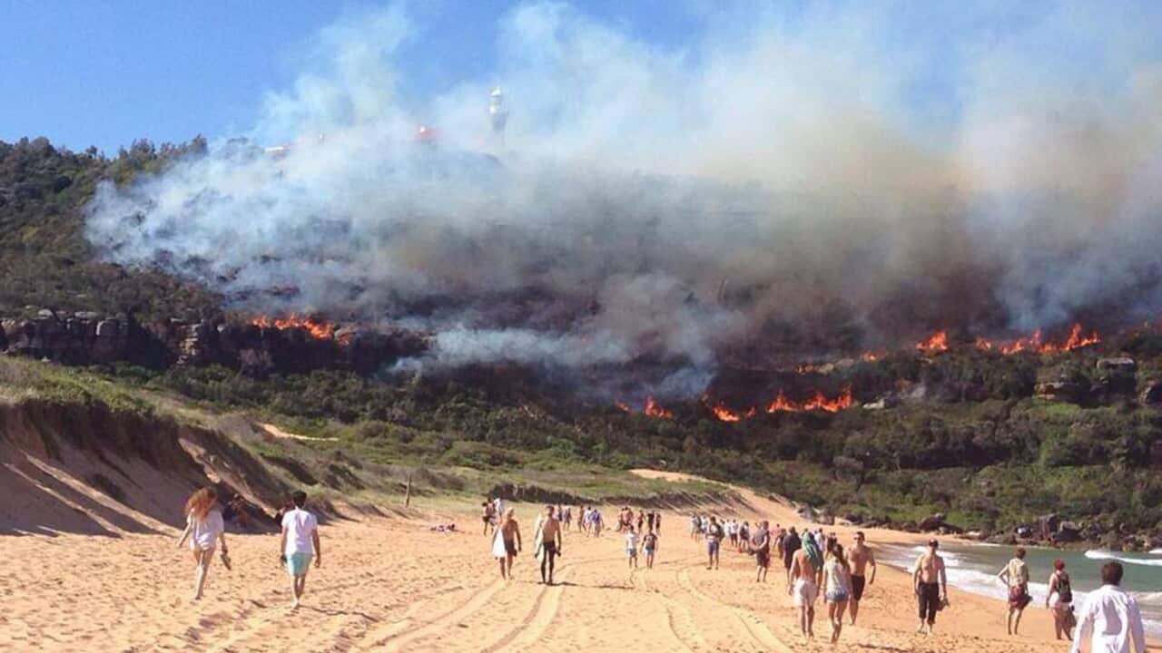 bushfire_sydney_northern_beaches_aap.jpg