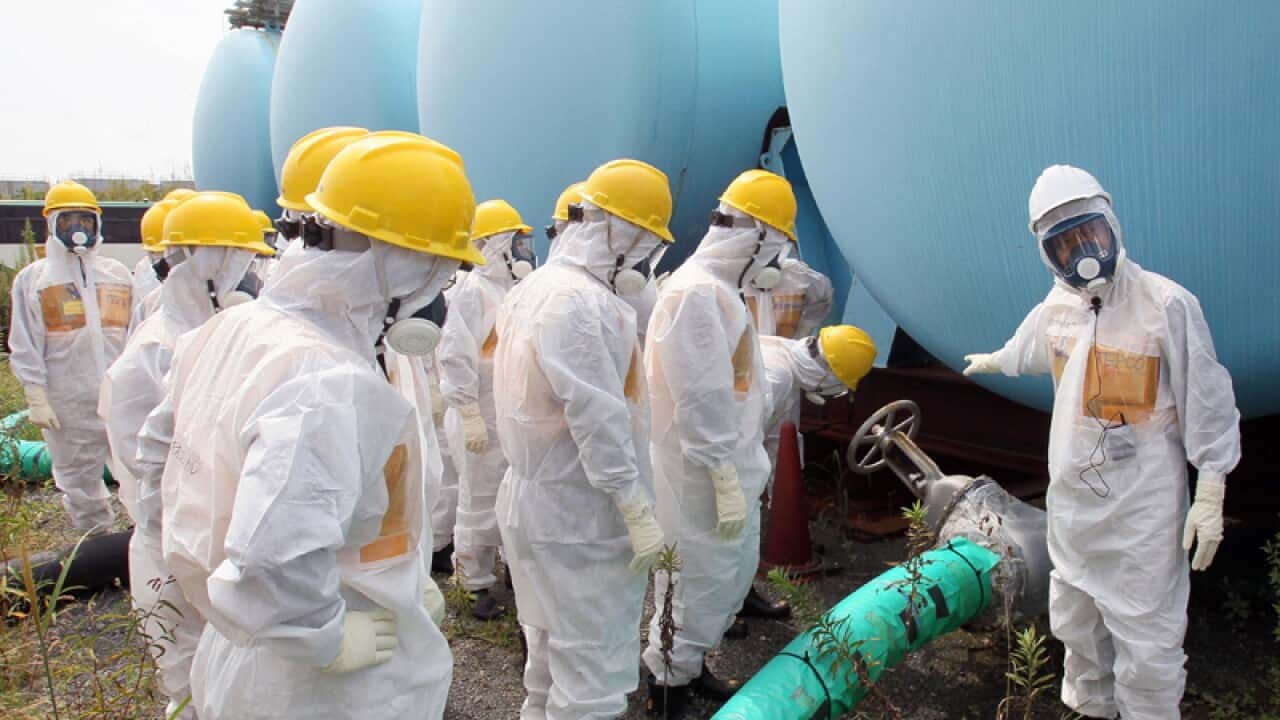 The Fukushima Daiichi nuclear power plant.