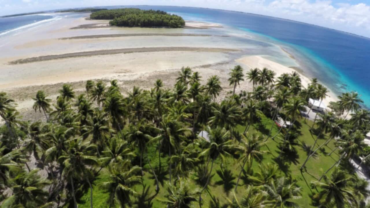 Land between the trees washing away due to continuing rising sea levels on Majuro Atoll, Marshall Islands