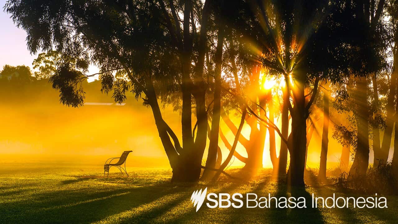 SBS News Indonesian Program – 25 Oct 2021.