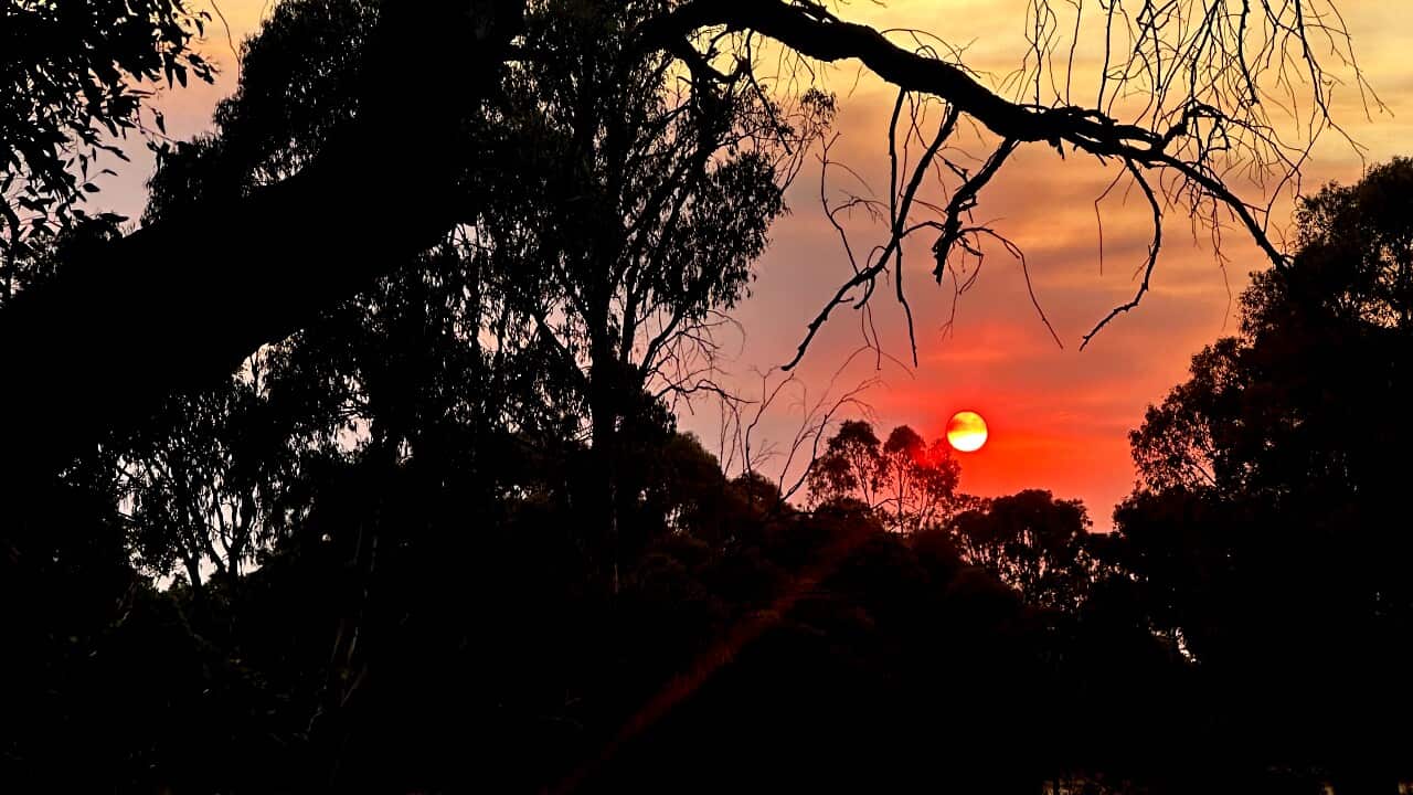 General view of sun set from Bundoora Park along Darebin Creek Trail.